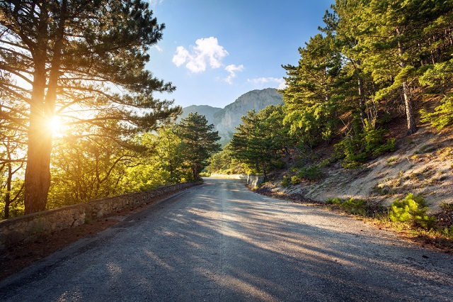 Asphalt road in summer forest at sunset. Crimean mountains.